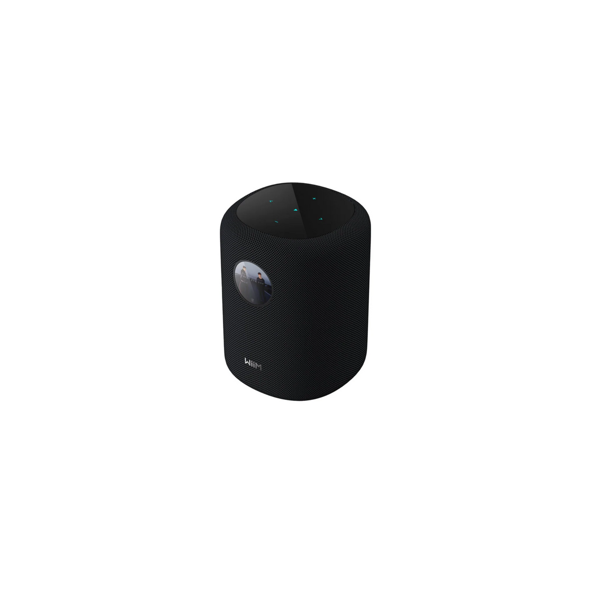 WiiM Multiroom Wireless Speaker in Black for Whole-Home Wi-Fi Audio & Multi-Room Streaming